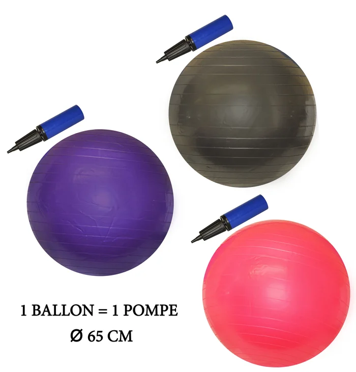 balle de gym 65 cm avec pompe de la marque SANDY. Réf. TUQ993.