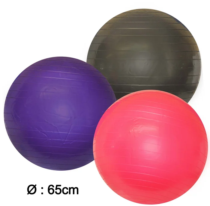 balle de gym 65 cm sans pompe de la marque SANDY. Réf. TUQ994.