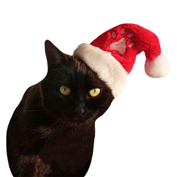 bonnet peluche brodé + élastique pr animaux de la marque SANDY. Réf. NDT141.