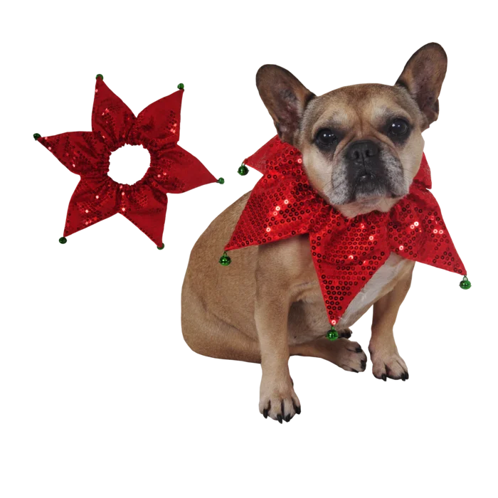 collier chien étoile grelots de la marque SANDY. Réf. NUN440.