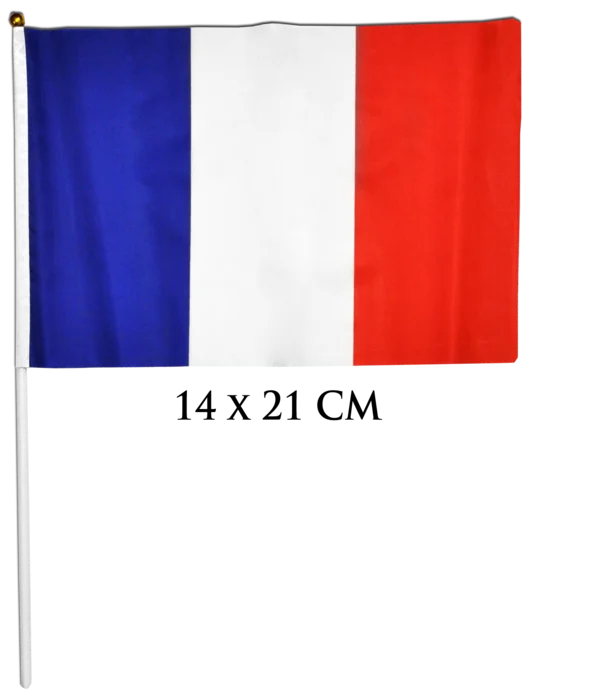 drapeau 14x21  cm baton 30 cm de la marque SANDY. Réf. DDT1020-21.