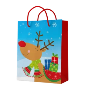 SAC PAPIER 22,5*19*10cm RENNE (scol 50)